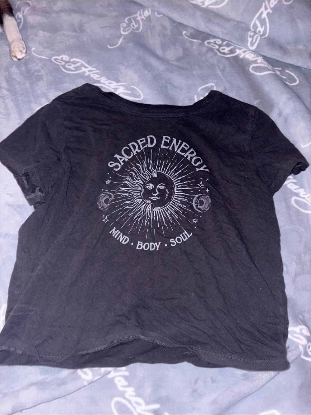 Hollister Graphic Crop Top